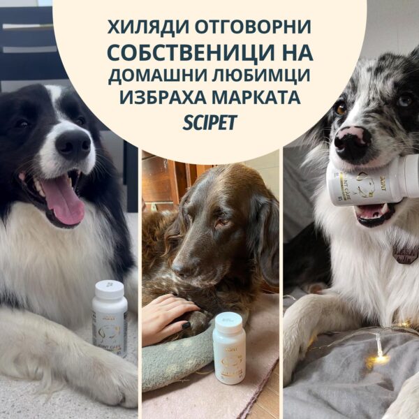 Пробиотици за кучета SciPet - 60 бр. (с 25 % намаление) - Image 3