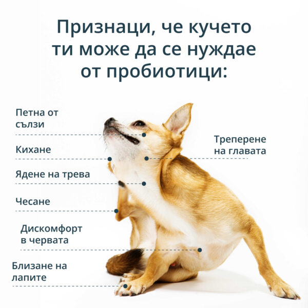 Пробиотици за кучета SciPet - 60 бр. (с 25 % намаление) - Image 2